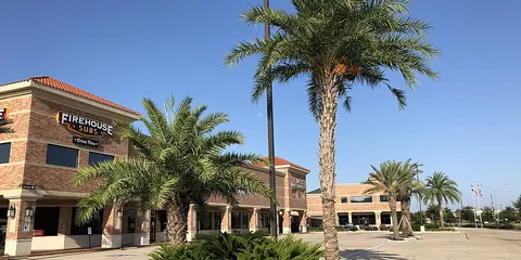 Palm trees along Kingsland Boulevard in Katy